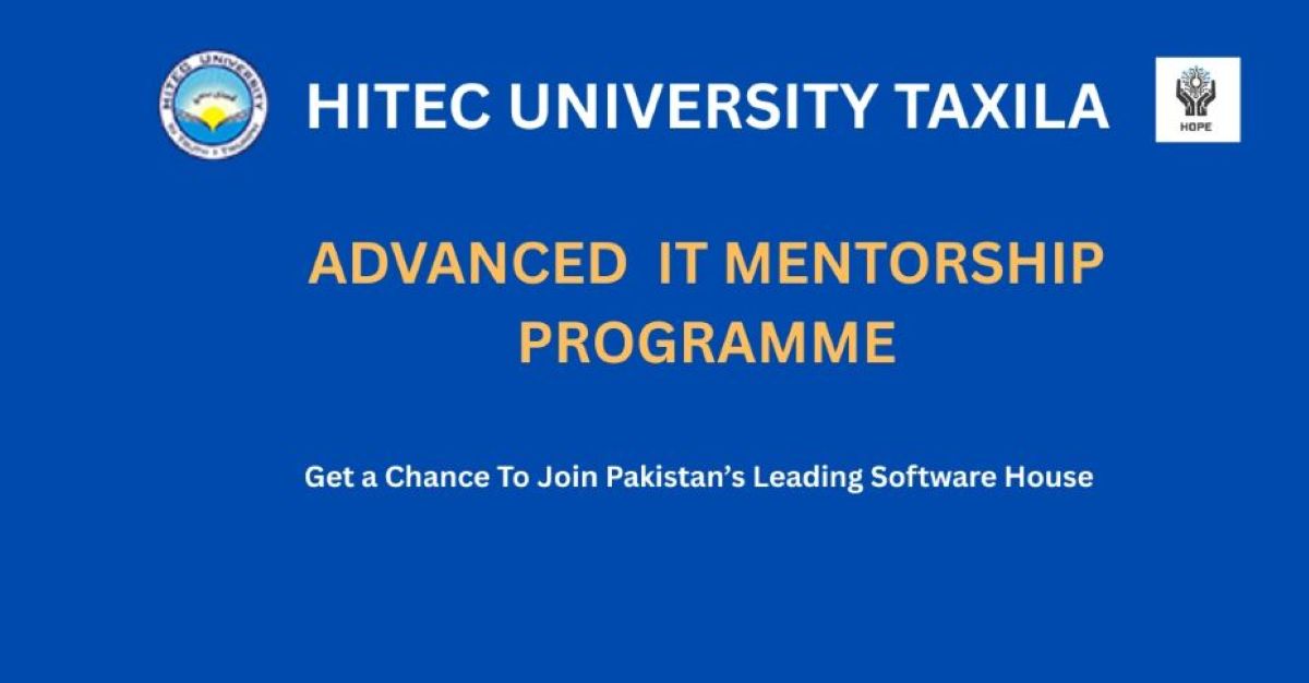 Advanced IT Mentorship Program