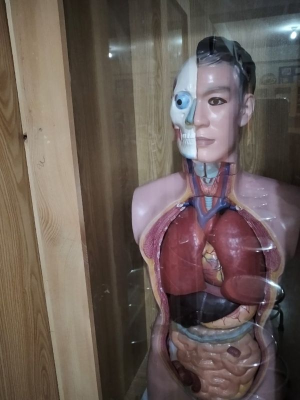 Human Anatomy Lab