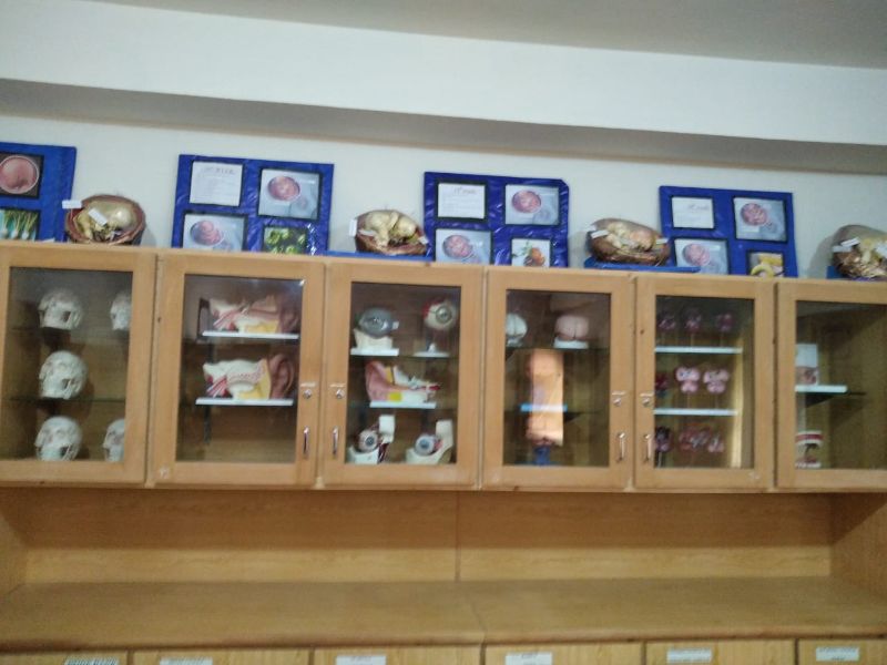 Human Anatomy Lab