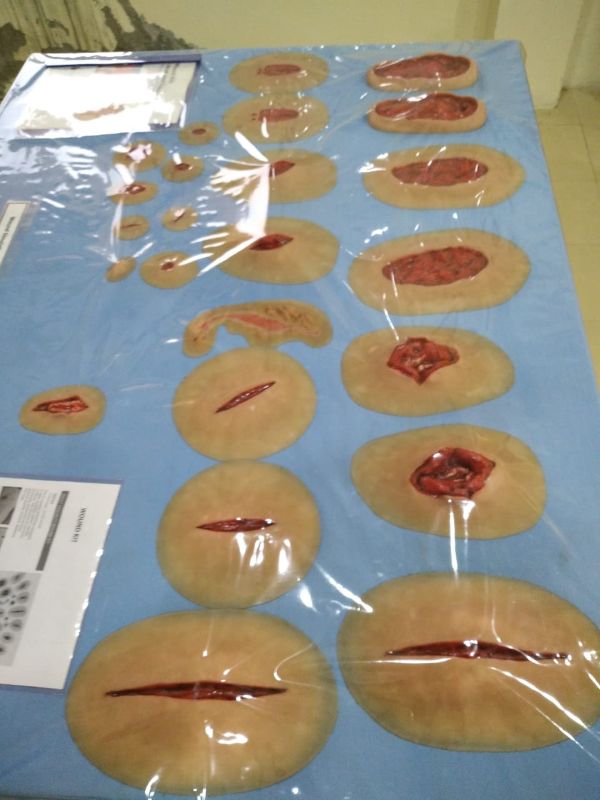 Physiology Lab
